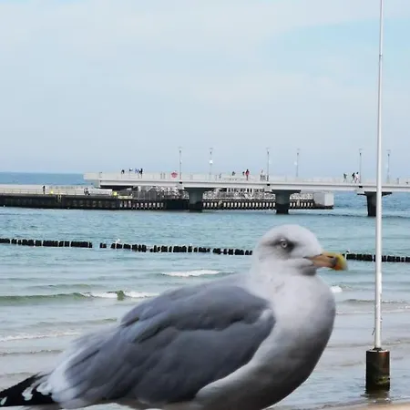 Spacerowa Z Balkonem *
