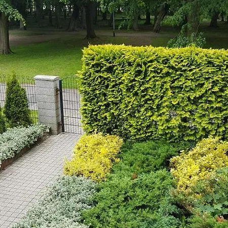 Spacerowa Z Balkonem *