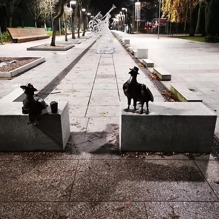 شقة Spacerowa Z Balkonem