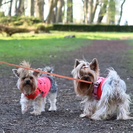 Spacerowa Z Balkonem Apartment Kolberg