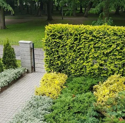 Spacerowa Z Balkonem *