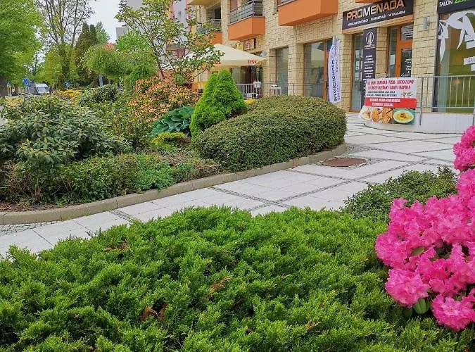 Spacerowa Z Balkonem Apartament