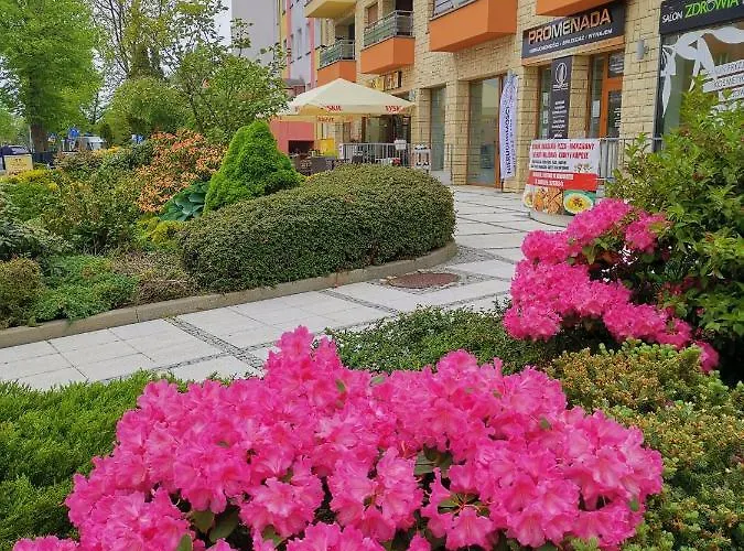 Apartament Spacerowa Z Balkonem Kołobrzeg