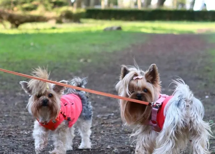 Spacerowa Z Balkonem Apartament Kołobrzeg